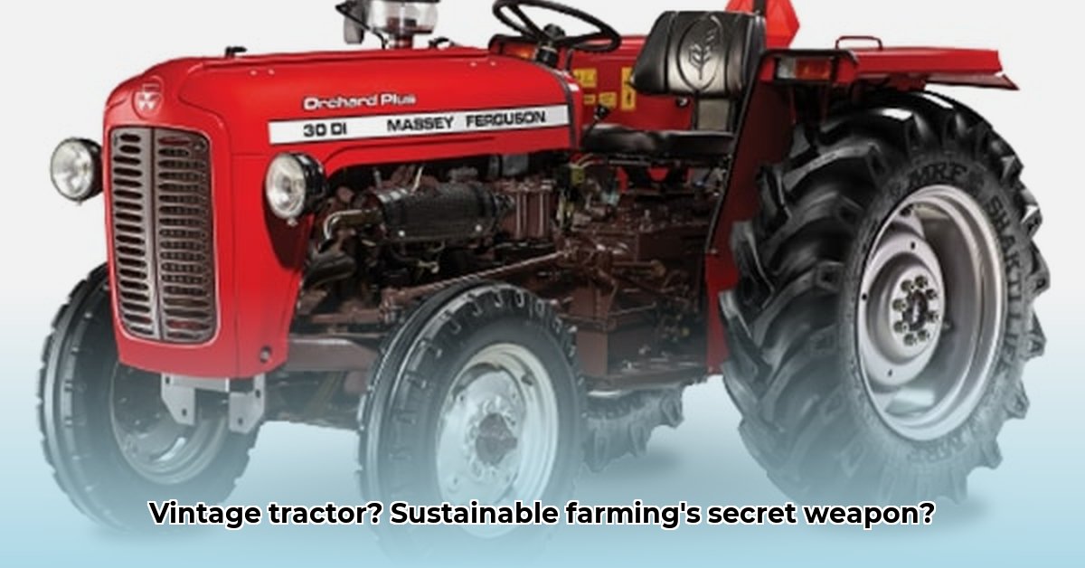 mf-30-tractor